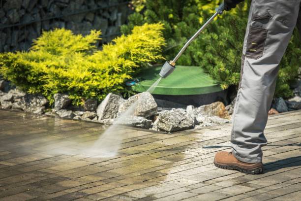 Best Pre-Holiday Cleaning  in Florida, NY